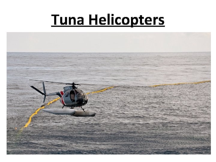 Tuna Helicopters 