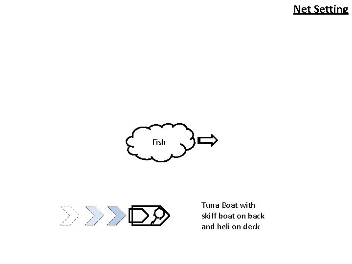 Net Setting Fish Tuna Boat with skiff boat on back and heli on deck