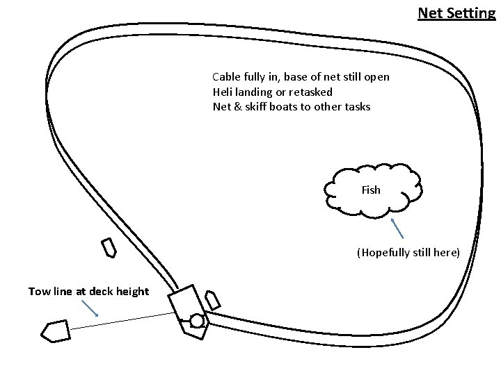 Net Setting Cable fully in, base of net still open Heli landing or retasked