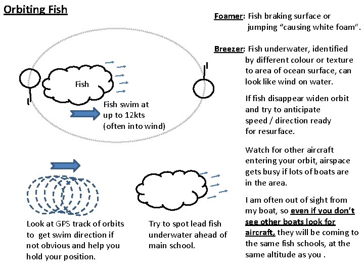 Orbiting Fish Foamer: Fish braking surface or jumping “causing white foam”. Breezer: Fish underwater,