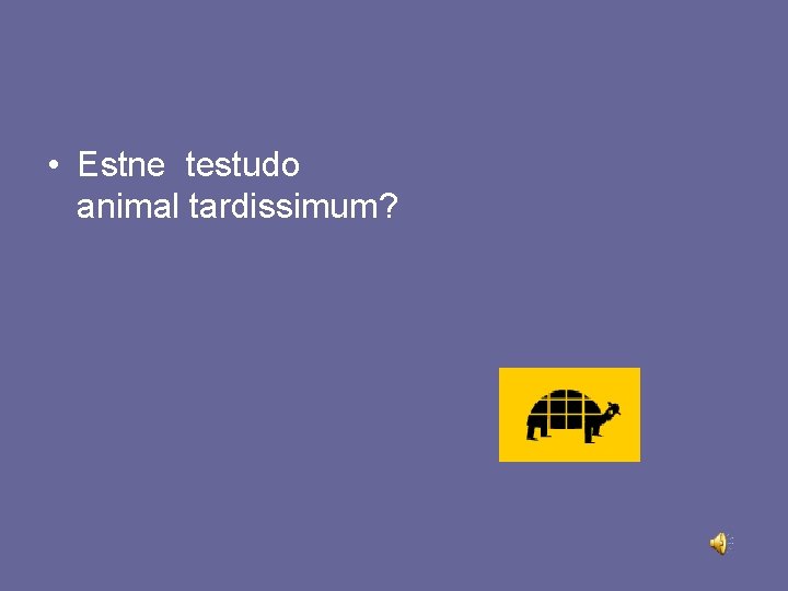  • Estne testudo animal tardissimum? 