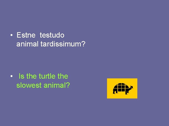  • Estne testudo animal tardissimum? • Is the turtle the slowest animal? 
