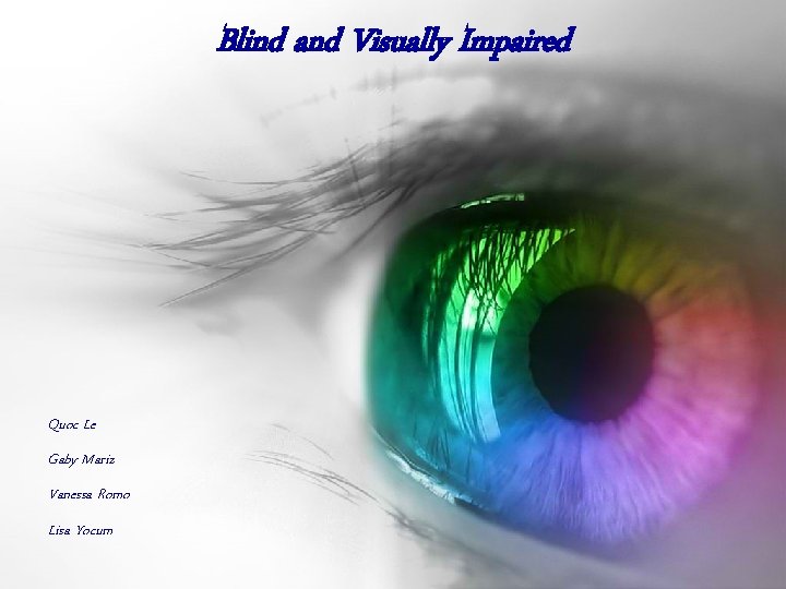 Blind and Visually Impaired Quoc Le Gaby Mariz Vanessa Romo Lisa Yocum 