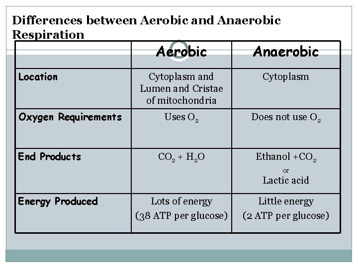 Differences between Aerobic and Anaerobic Respiration Location Oxygen Requirements End Products Aerobic Anaerobic Cytoplasm