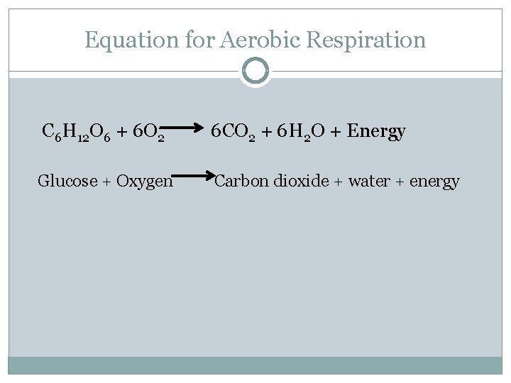 Equation for Aerobic Respiration C 6 H 12 O 6 + 6 O 2