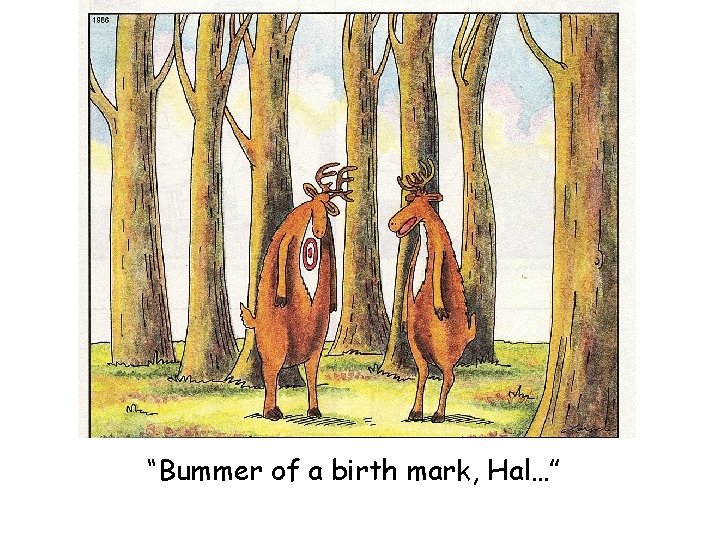 “Bummer of a birth mark, Hal…” 
