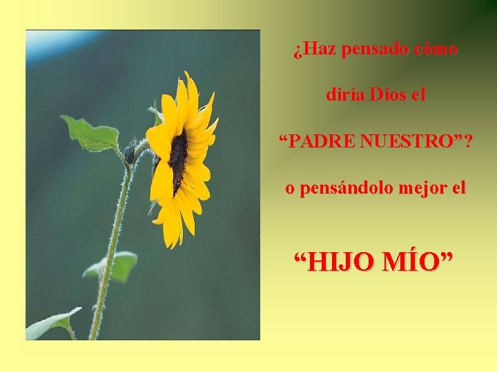 ¿Haz pensado cómo diría Dios el “PADRE NUESTRO”? o pensándolo mejor el “HIJO MÍO” ¿Haz pensado cómo diría Dios el “PADRE NUESTRO”? o pensándolo mejor el “HIJO MÍO”