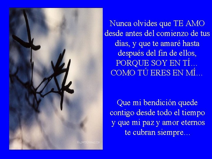 Nunca olvides que TE AMO desde antes del comienzo de tus días, y que Nunca olvides que TE AMO desde antes del comienzo de tus días, y que