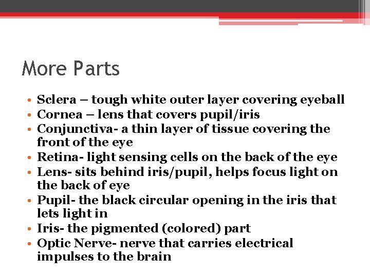 More Parts • Sclera – tough white outer layer covering eyeball • Cornea –