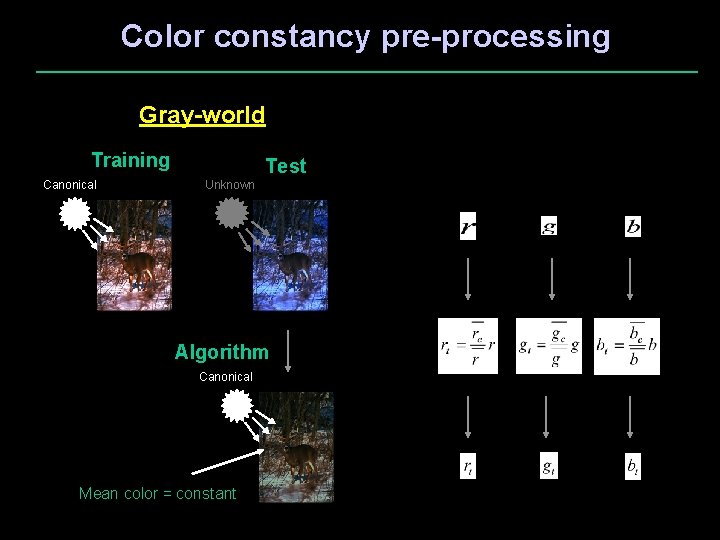 Color constancy pre-processing Gray-world Training Canonical Test Unknown Algorithm Canonical Mean color = constant