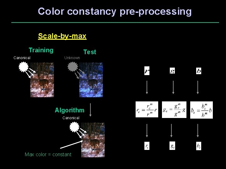 Color constancy pre-processing Scale-by-max Training Canonical Test Unknown Algorithm Canonical Max color = constant