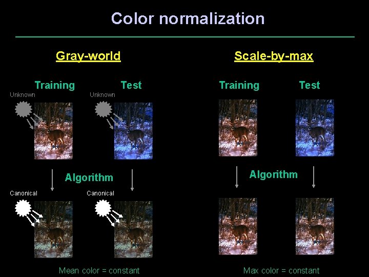 Color normalization Gray-world Training Unknown Test Training Test Unknown Algorithm Canonical Scale-by-max Algorithm Canonical