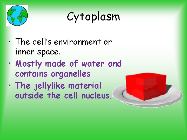 Cytoplasm • The cell’s environment or inner space. • Mostly made of water and
