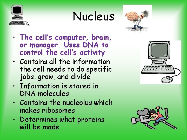 Nucleus • The cell’s computer, brain, or manager. Uses DNA to control the cell’s