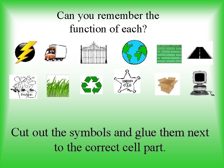 Can you remember the function of each? Protein Cut out the symbols and glue