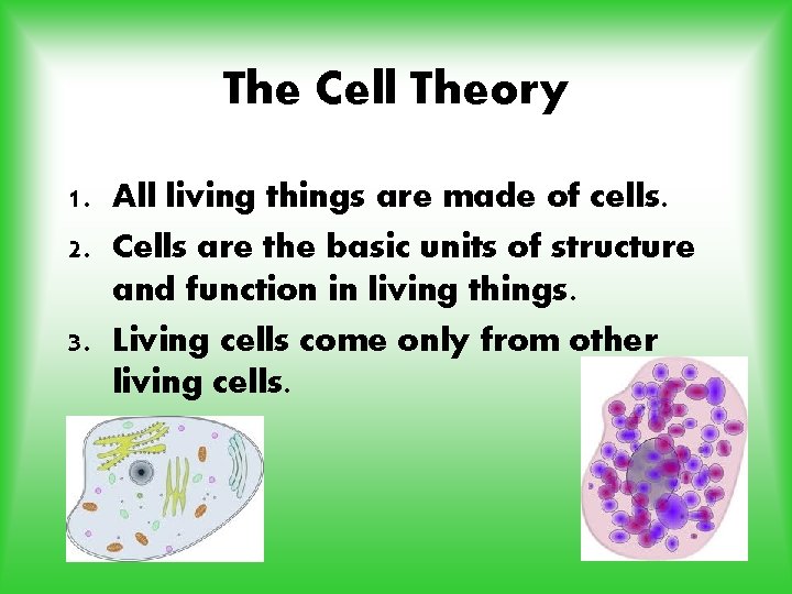 The Cell Theory 1. All living things are made of cells. 2. Cells are