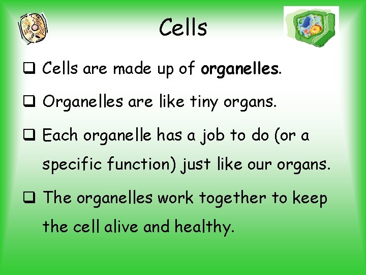 Cells q Cells are made up of organelles. q Organelles are like tiny organs.