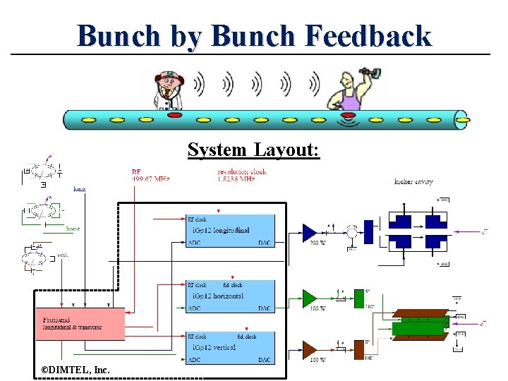 Bunch by Bunch Feedback System Layout: ©DIMTEL, Inc. 