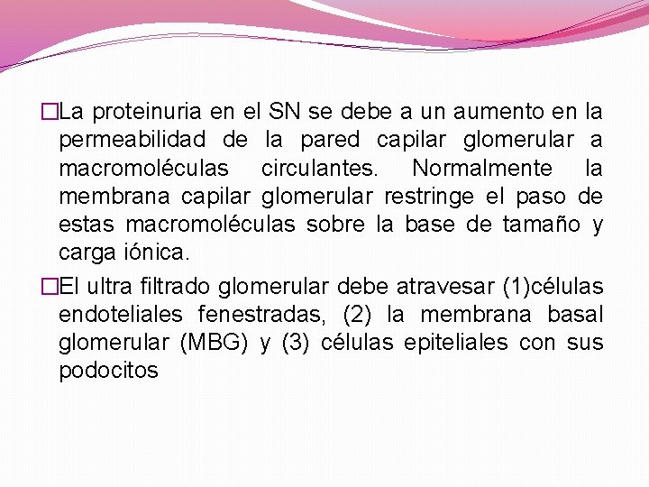  �La proteinuria en el SN se debe a un aumento en la permeabilidad