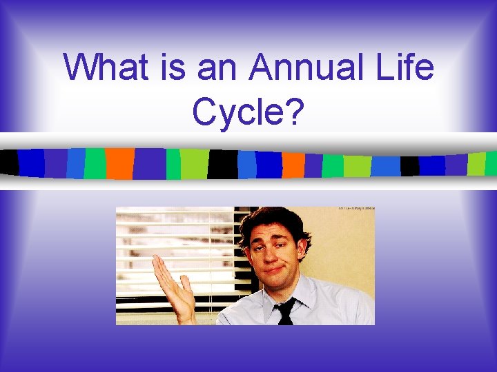 What is an Annual Life Cycle? What is an Annual Life Cycle?