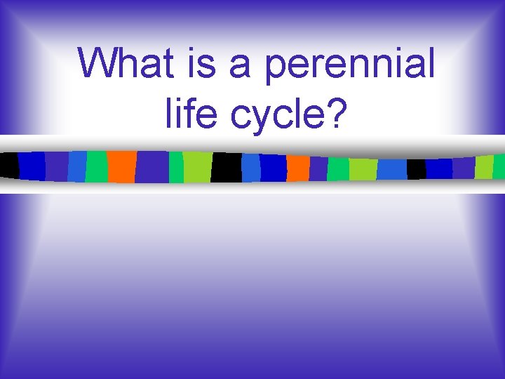 What is a perennial life cycle? What is a perennial life cycle?