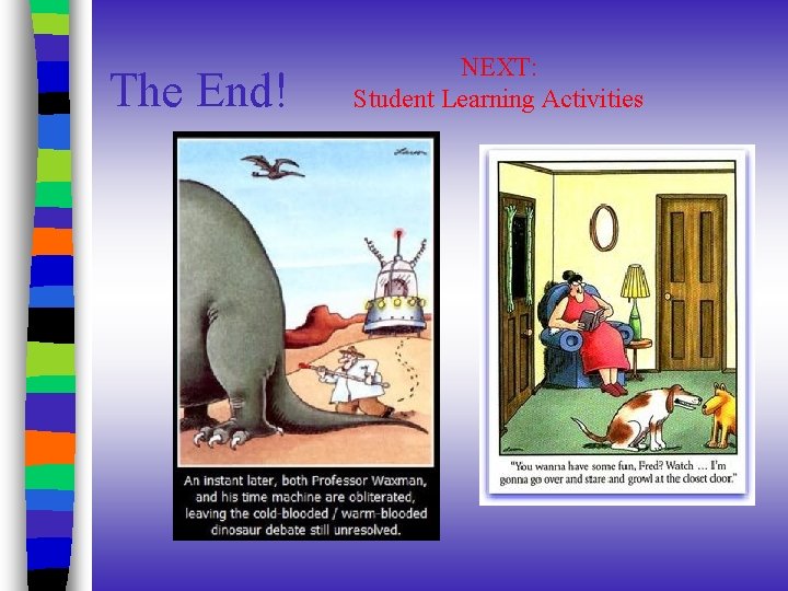 The End! NEXT: Student Learning Activities The End! NEXT: Student Learning Activities