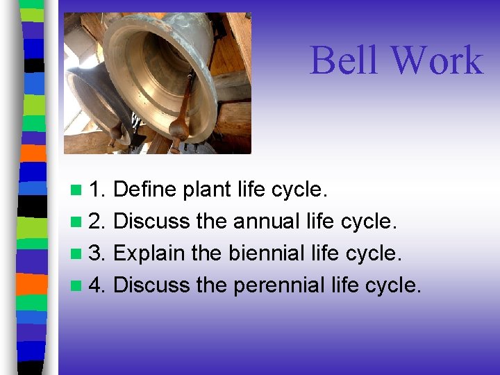 Bell Work n 1. Define plant life cycle. n 2. Discuss the annual life Bell Work n 1. Define plant life cycle. n 2. Discuss the annual life