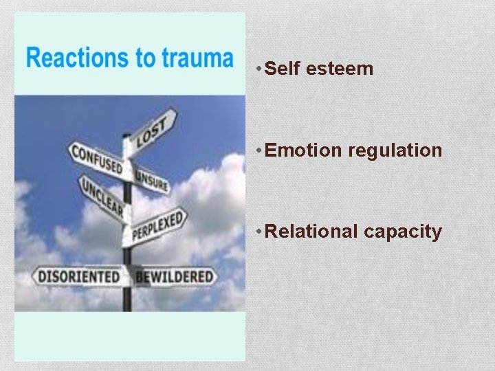 2 • Self esteem • Emotion regulation • Relational capacity 