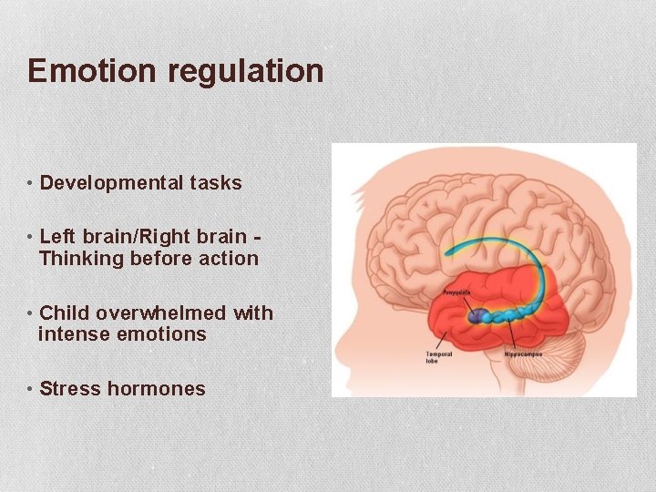 Emotion regulation • Developmental tasks • Left brain/Right brain Thinking before action • Child