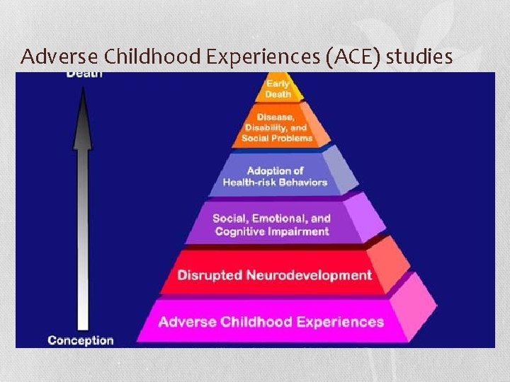 Adverse Childhood Experiences (ACE) studies 