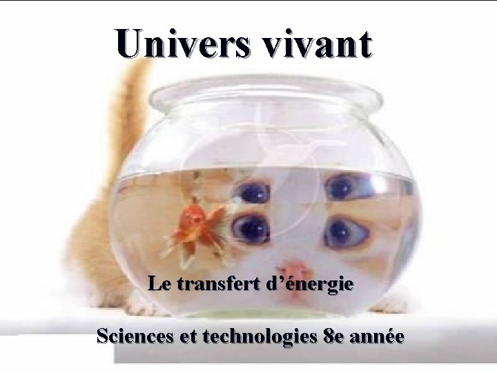 Univers vivant Le transfert d’énergie Sciences et technologies 8 e année 