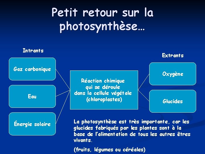 Petit retour sur la photosynthèse… Intrants Extrants Gaz carbonique Eau Énergie solaire Réaction chimique