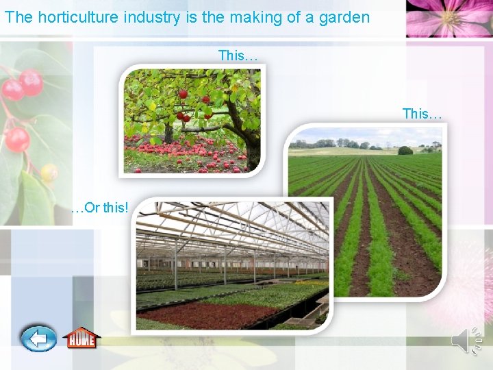 The horticulture industry is the making of a garden This… …Or this! 