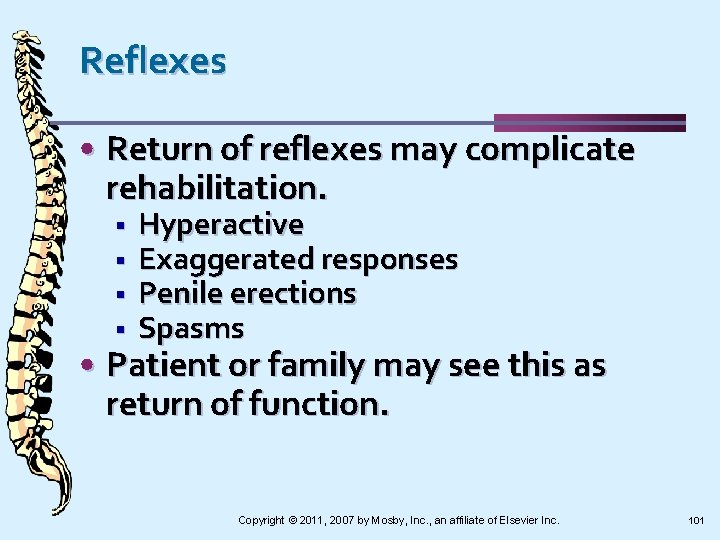 Reflexes • Return of reflexes may complicate rehabilitation. § § Hyperactive Exaggerated responses Penile