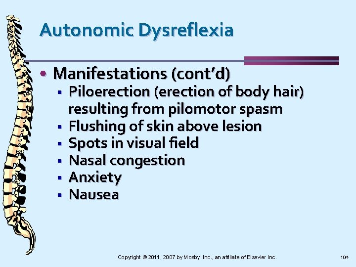Autonomic Dysreflexia • Manifestations (cont’d) § § § Piloerection (erection of body hair) resulting