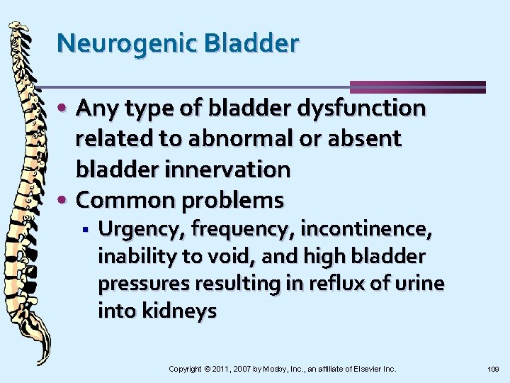 Neurogenic Bladder • Any type of bladder dysfunction related to abnormal or absent bladder