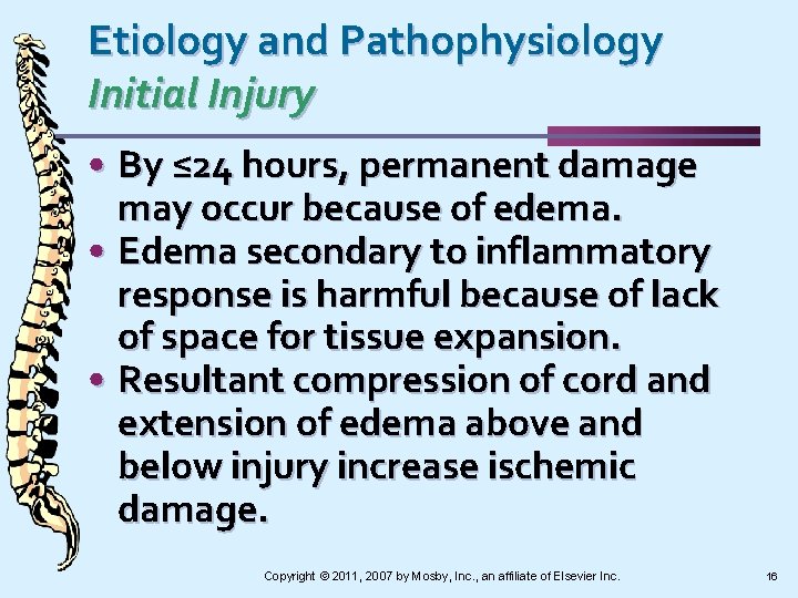 Etiology and Pathophysiology Initial Injury • By ≤ 24 hours, permanent damage may occur