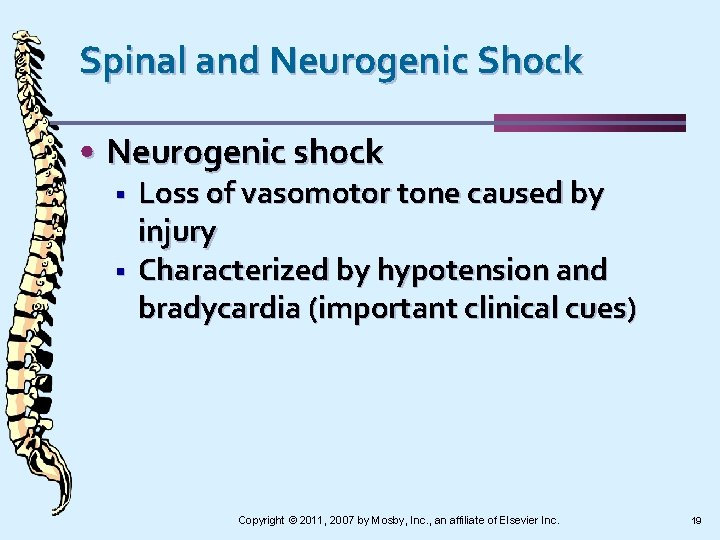 Spinal and Neurogenic Shock • Neurogenic shock § § Loss of vasomotor tone caused