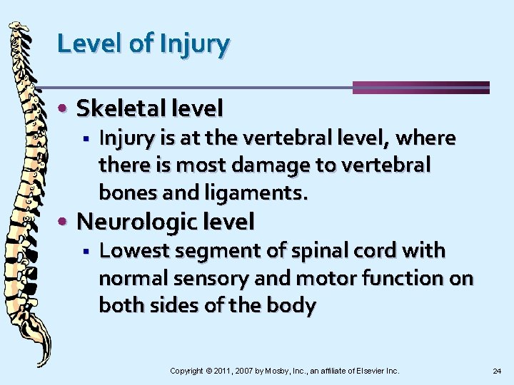 Level of Injury • Skeletal level § Injury is at the vertebral level, where