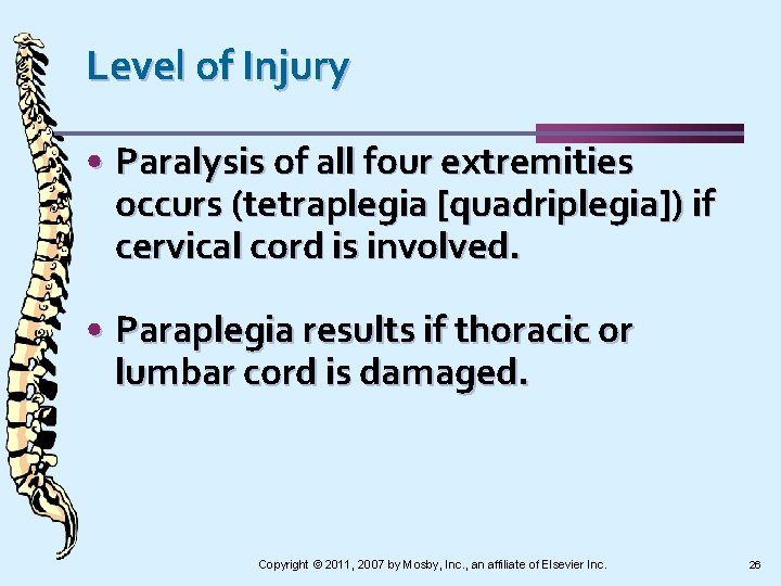 Level of Injury • Paralysis of all four extremities occurs (tetraplegia [quadriplegia]) if cervical