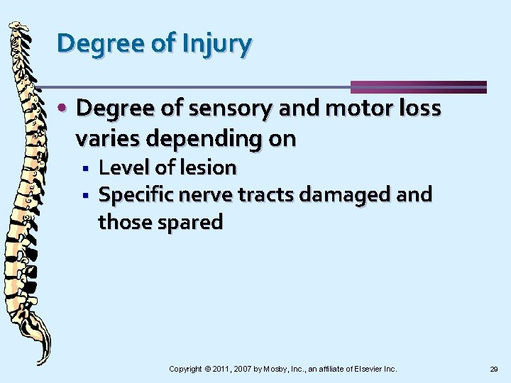 Degree of Injury • Degree of sensory and motor loss varies depending on §