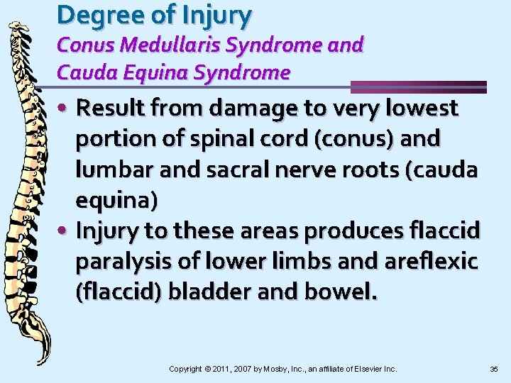 Degree of Injury Conus Medullaris Syndrome and Cauda Equina Syndrome • Result from damage