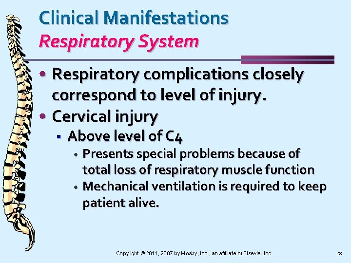 Clinical Manifestations Respiratory System • Respiratory complications closely correspond to level of injury. •