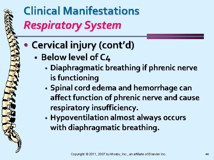 Clinical Manifestations Respiratory System • Cervical injury (cont’d) § Below level of C 4
