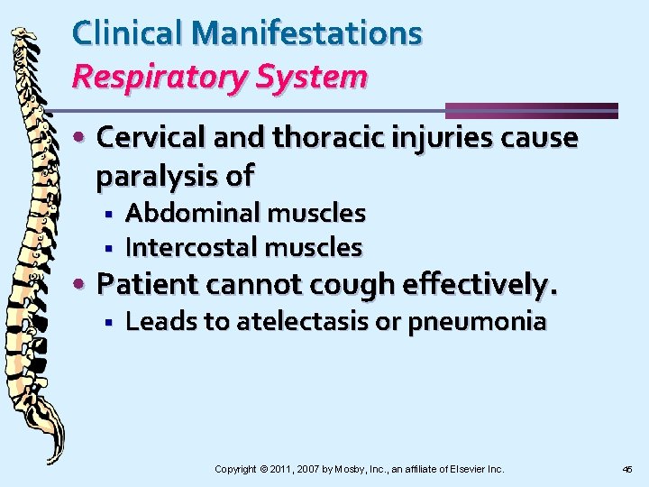 Clinical Manifestations Respiratory System • Cervical and thoracic injuries cause paralysis of § §