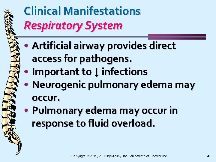 Clinical Manifestations Respiratory System • Artificial airway provides direct access for pathogens. • Important