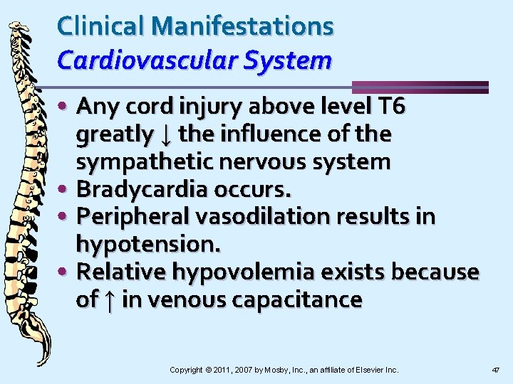 Clinical Manifestations Cardiovascular System • Any cord injury above level T 6 greatly ↓
