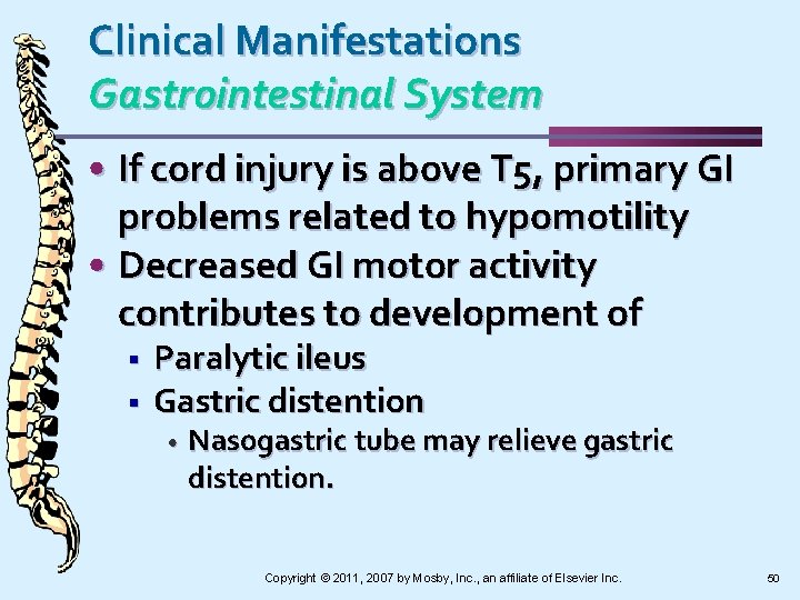 Clinical Manifestations Gastrointestinal System • If cord injury is above T 5, primary GI