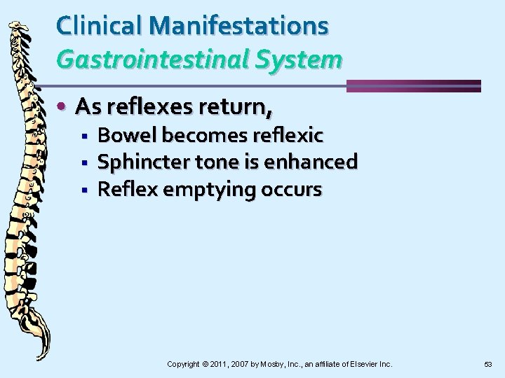 Clinical Manifestations Gastrointestinal System • As reflexes return, § § § Bowel becomes reflexic