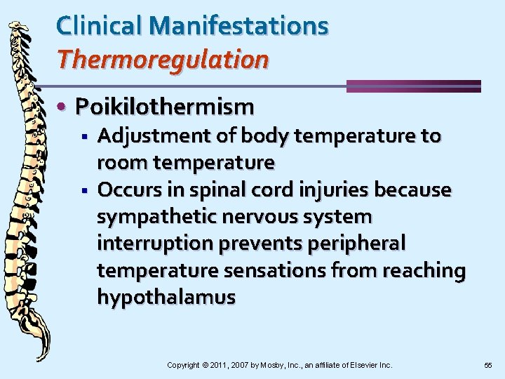 Clinical Manifestations Thermoregulation • Poikilothermism § § Adjustment of body temperature to room temperature